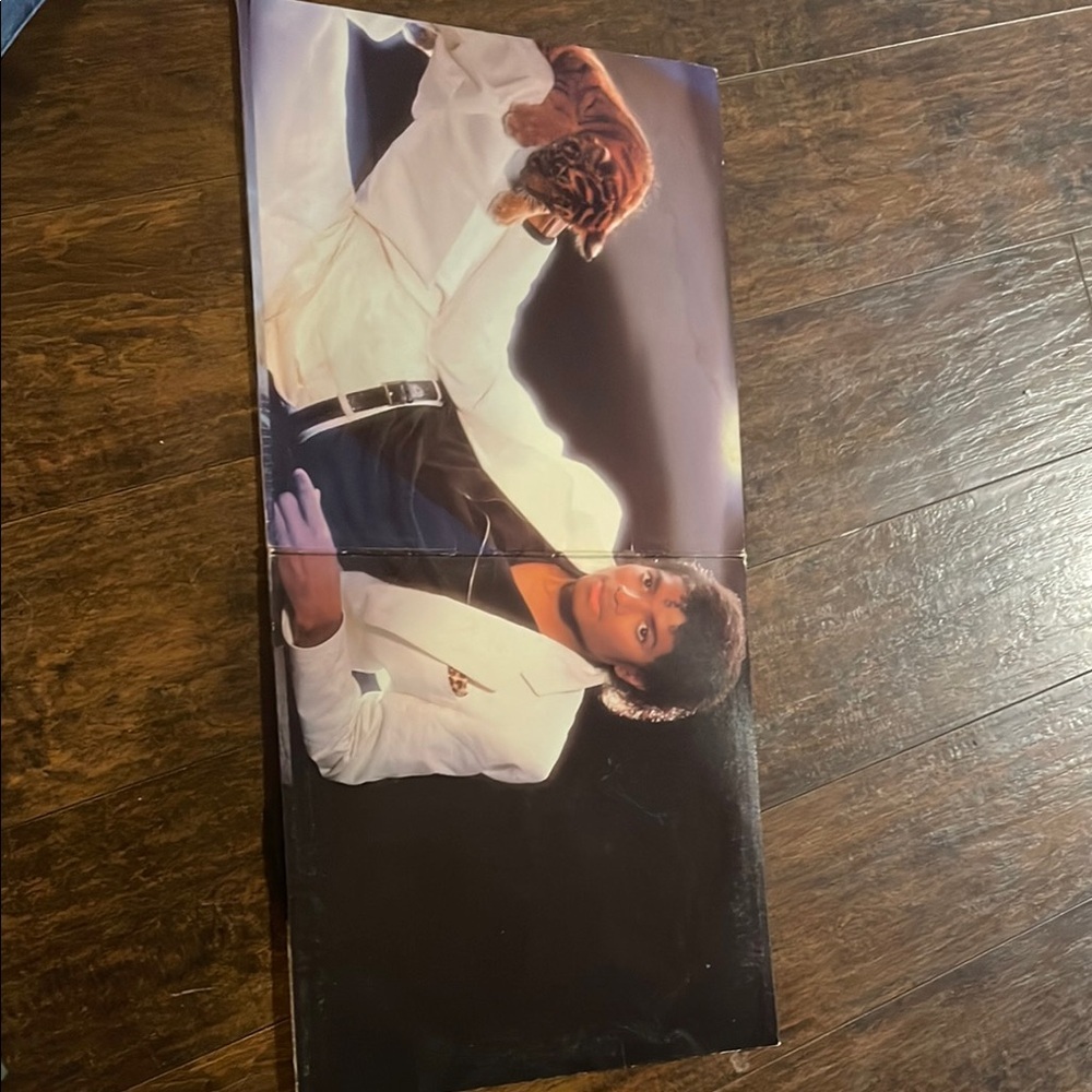 Michael Jackson Thriller Vinyl Record - Picture 2 of 10
